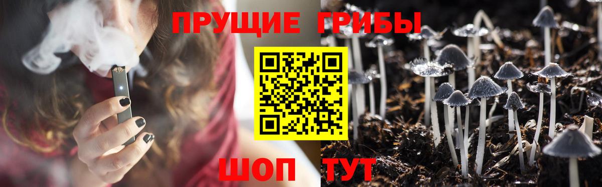 Галлюциногенные грибы прущие грибы  сколько стоит  Вход с VPN  Усть-Лабинск  Галлюциногенные грибы мицелий 